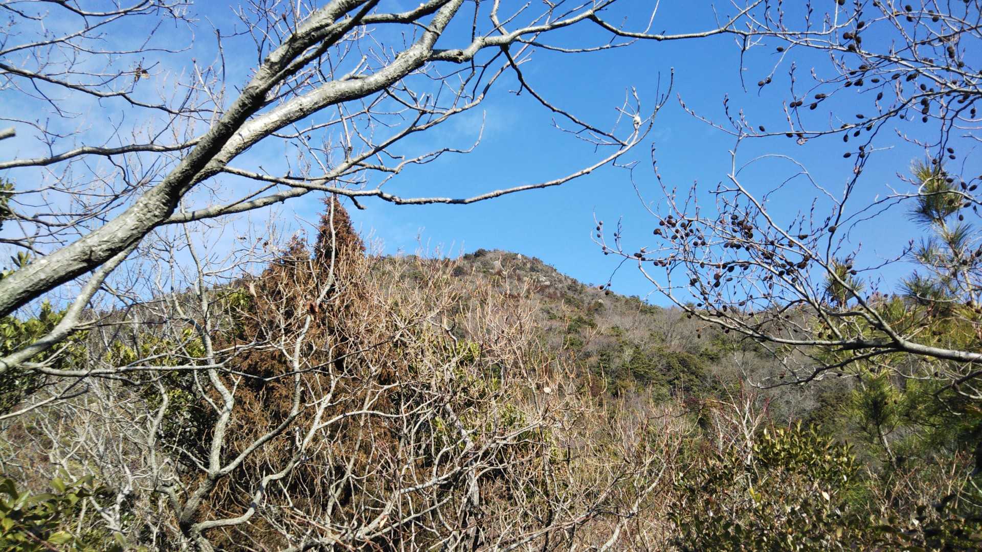 佐野山-楞厳寺山 往復コースの写真