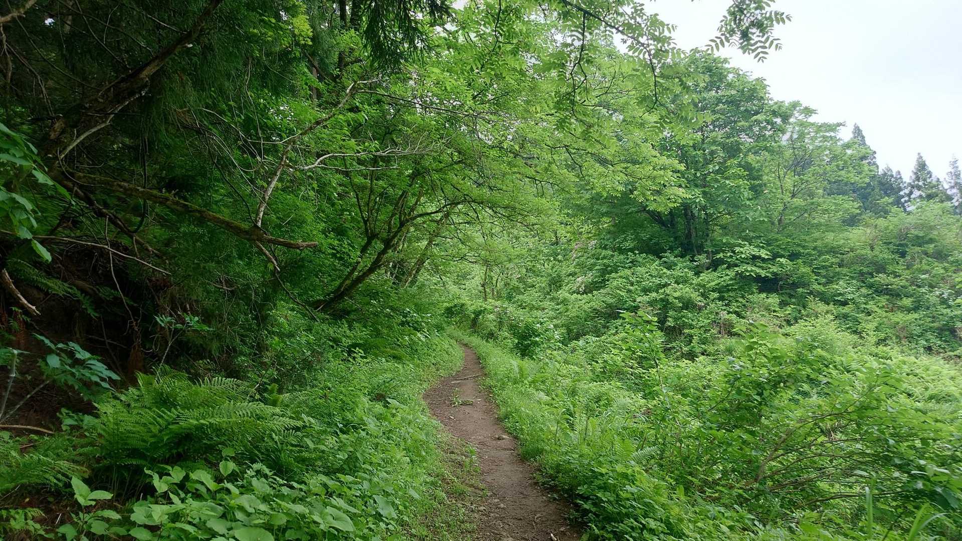ここは久しぶりです

ほんとはこの時期恒例の
登山&キャンプの予定が
雨で流れてこちらへ