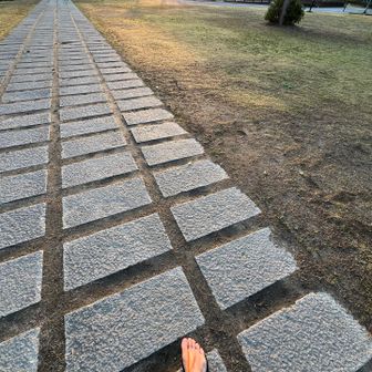 Uber free taxiまでの空き時間でテンパイへ⛰️