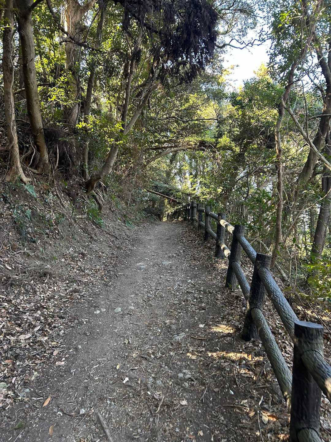 なだらかな道を下り、そのまま下山