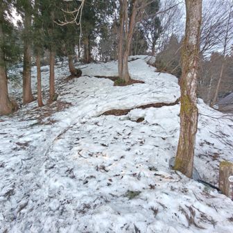 ここを登るけど、カチコチだし、踏み跡斜めだし、狭いので。