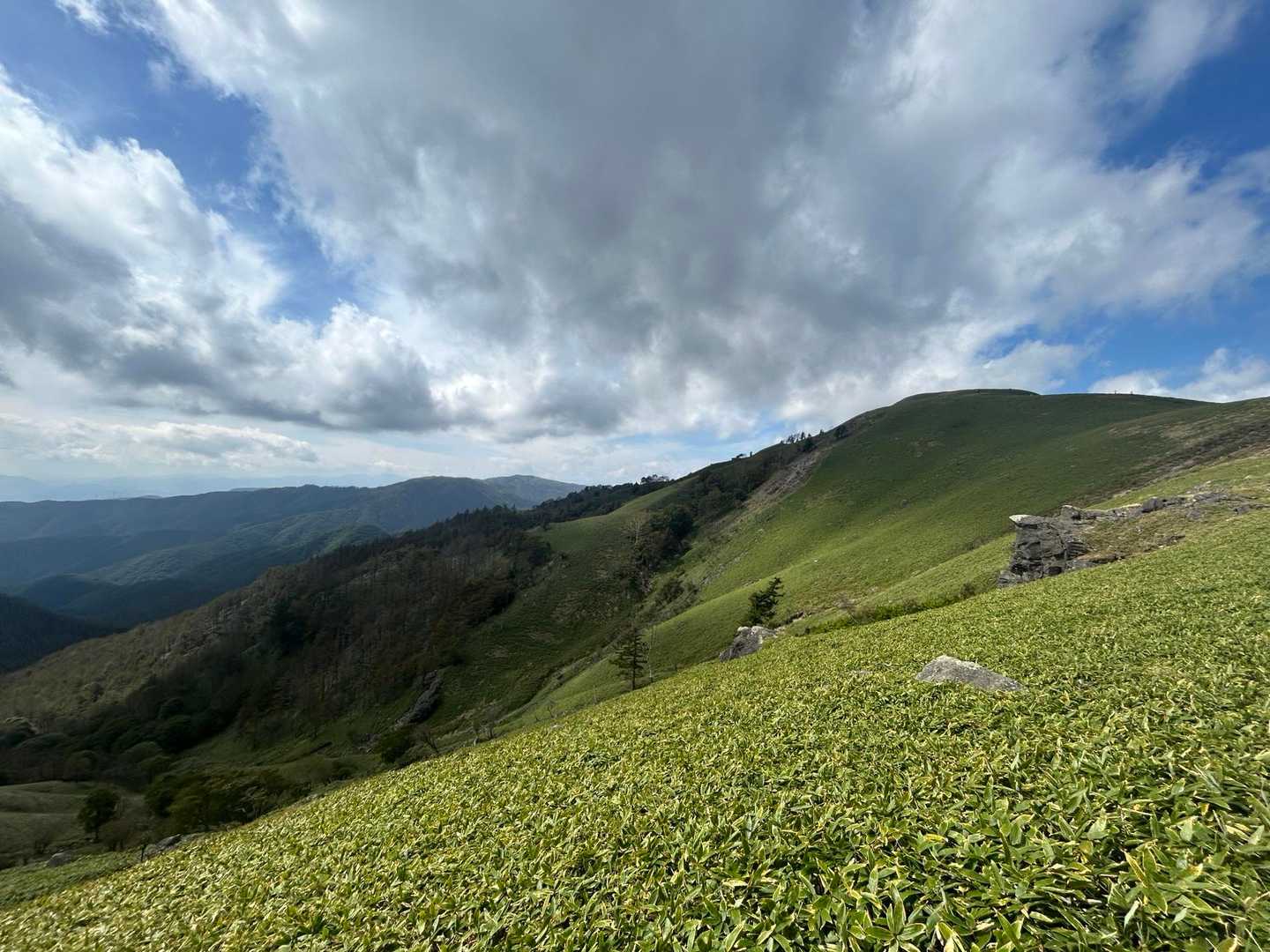 山肌の緑が美しい⛰️✨
