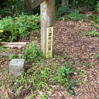 山頂到着。山友さんとコーヒータイム☕︎