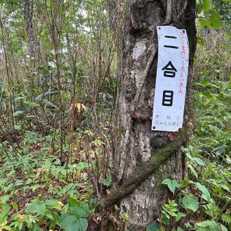 2号目
1号目は見当たらなかった