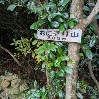 急勾配か何気に遠く感じた😅グレーピーク🩶①