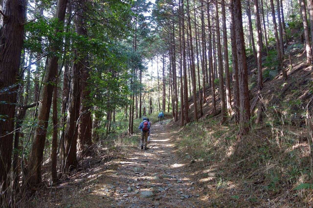 こんな道を行きます