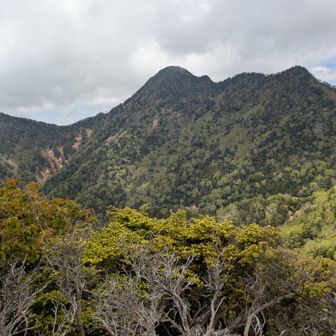 ⑥あれが女峰山か?