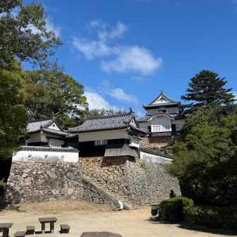 お次は備中松山城へ🏯

現存天守のお城です！