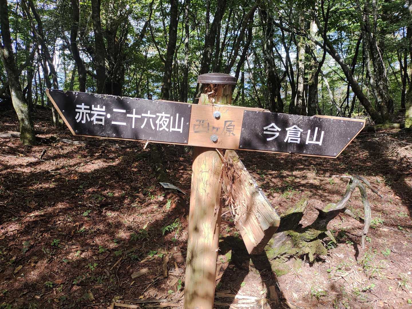 稜線に出たら赤岩は直ぐだ