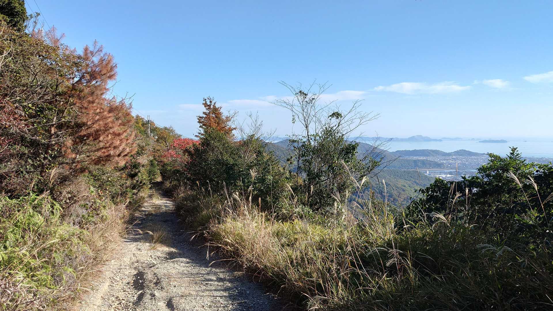 下山は歩きやすくて気持ちヨシ。