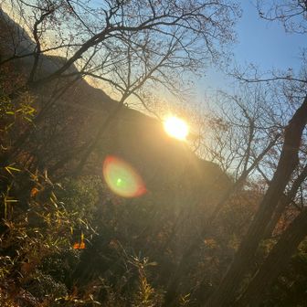 やっとこ太陽が。