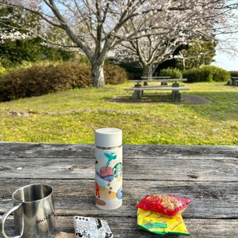 ここでお花見🌸休憩