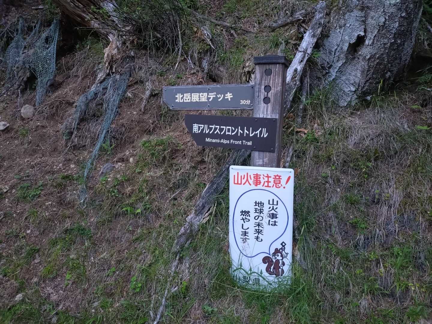 やっぱり遠かった😅
でも気温17℃‼️
ウソでしょ😳
いってみよう