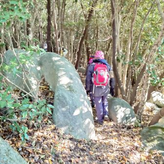 急登は終わりましたが石灰岩の岩が点在する登山道は続きます
