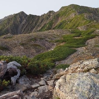 朝の北岳