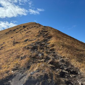 大盛ヶ城の裏側に出ました
くたびれた体でヨロヨロと登ります

道端の草原に斜めに身を任せるとフサフサで気持ちいいのです。「アルプスの少女ハイジに出てきた枯れ草のベッドって、こんな感じ？」とか妄想してました