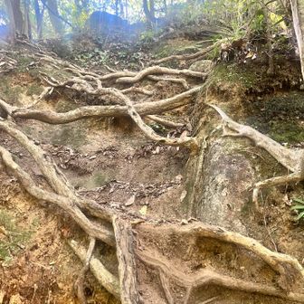 コース定数25の道はアドベンチャー感満載。