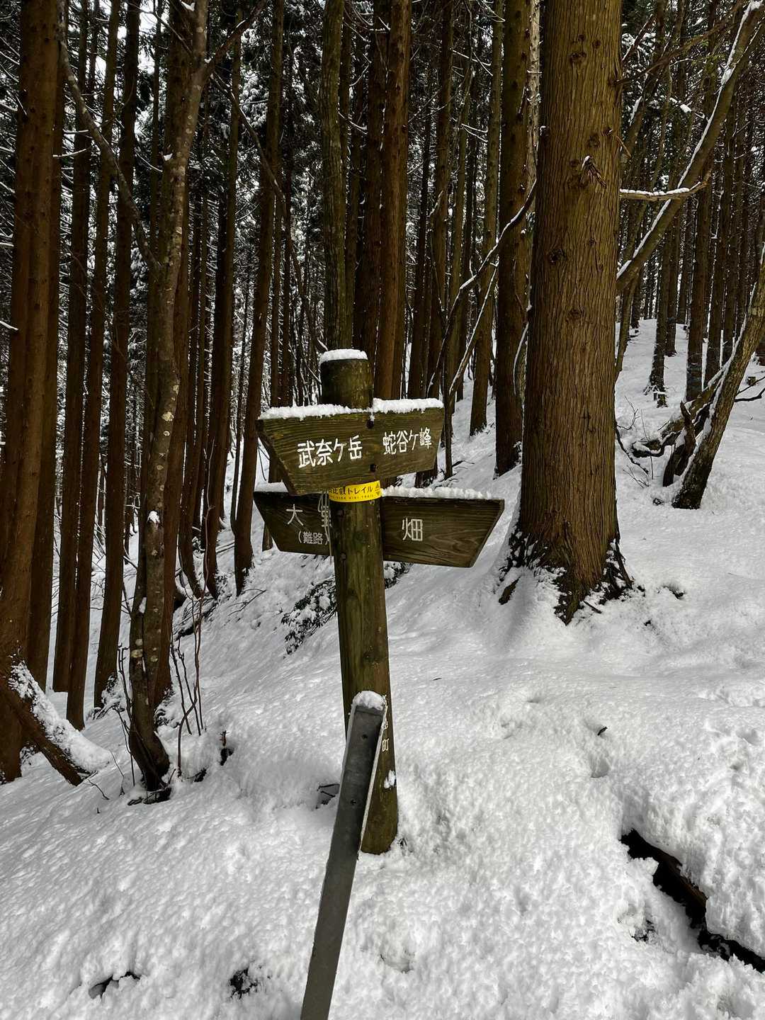 3つ目の峠。ここで他ルートから来た人の形跡が出てきて（おそらくスノーシュー）、一気に楽に！20歩に1回くらい？は思いっきり雪にはまったりは変わらなかったけど、道を探しながらじゃないのはだいぶ楽になりましたー！
