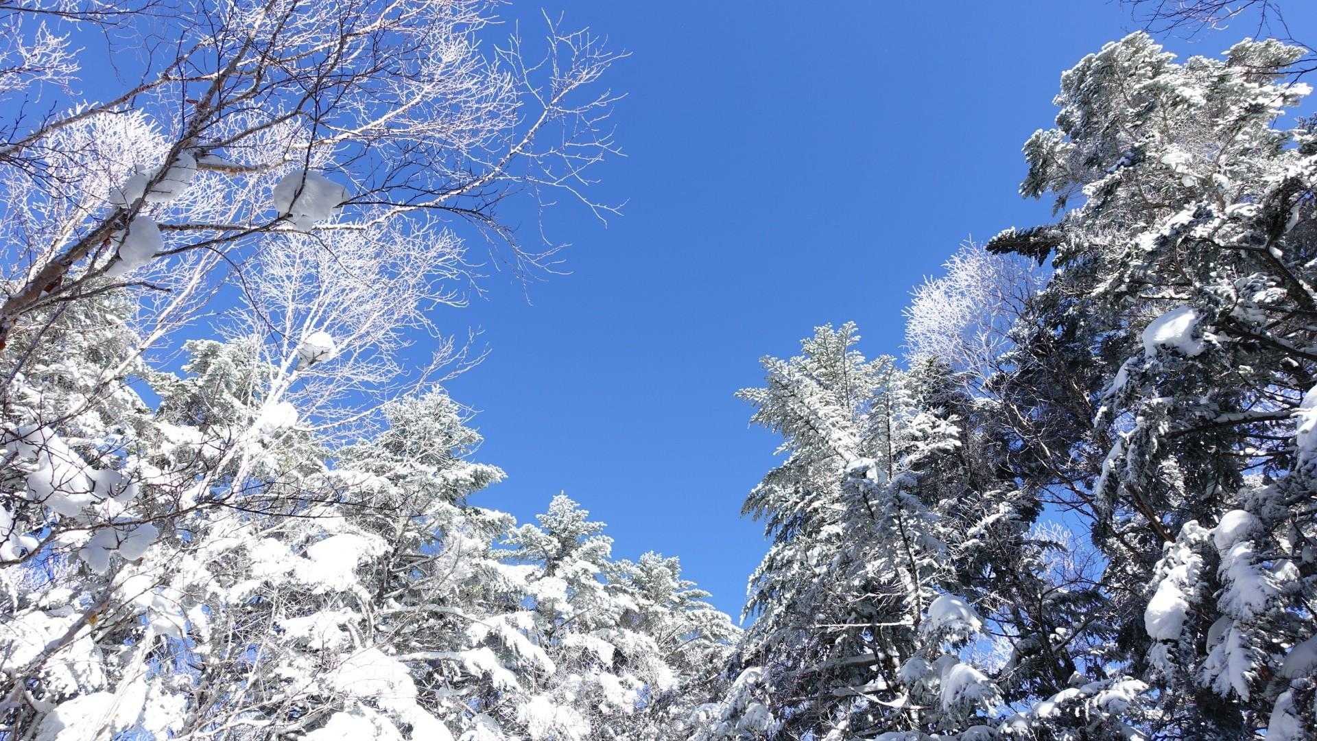 新雪と青空