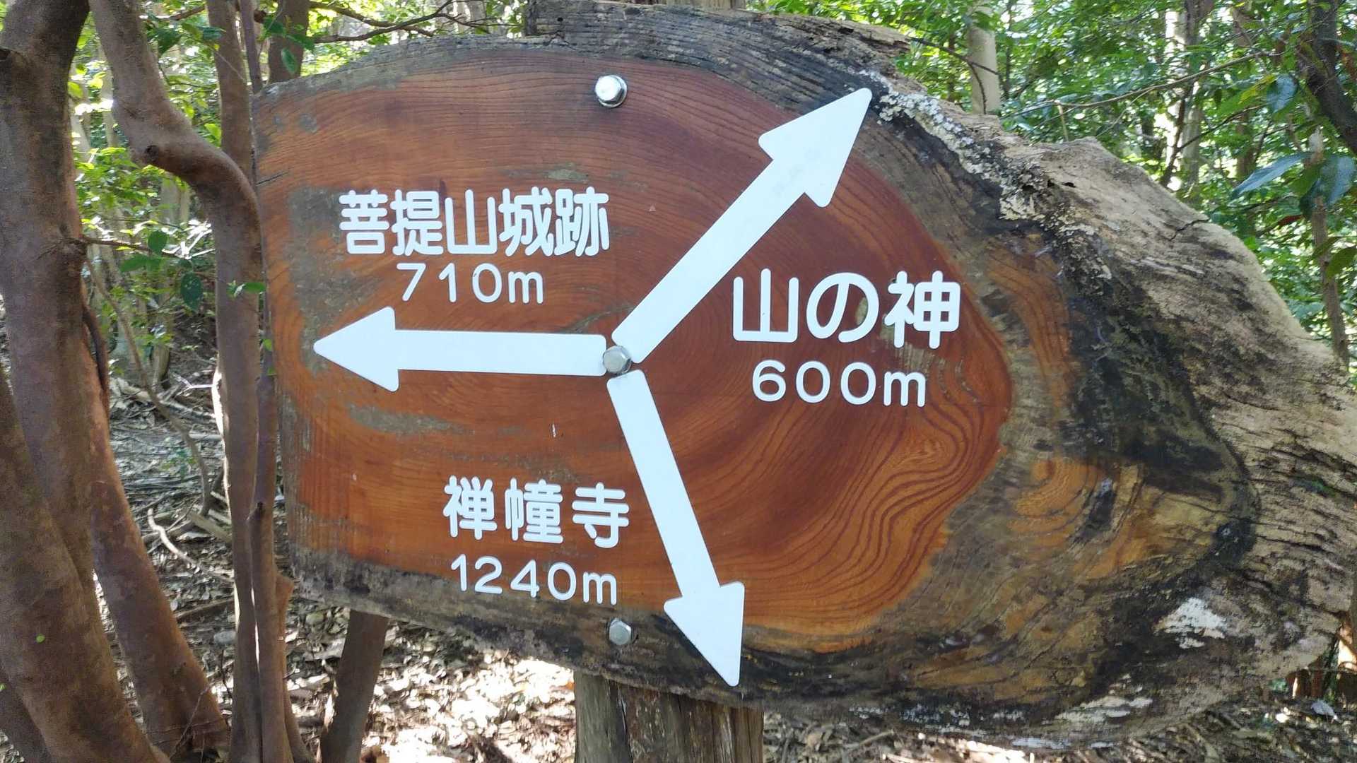 山の神方面は進入禁止になってました。