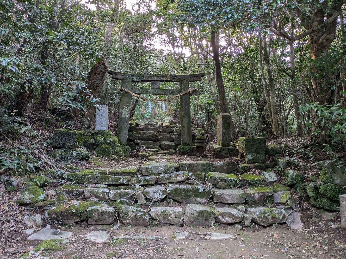 安満岳 往復コースの写真