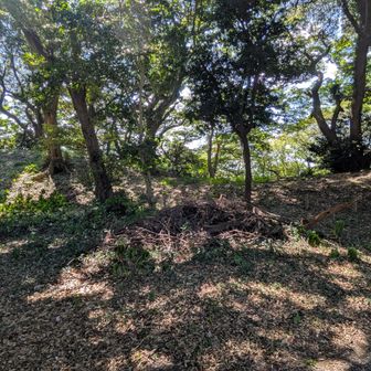 島津丸山古墳
前方後円墳です