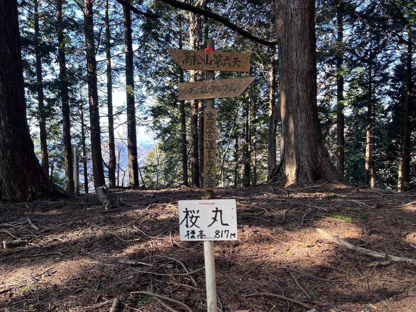 高松山入口バス停-ビリ堂-高松山-フトウ山-桜丸-ダルマ沢 縦走コースの写真