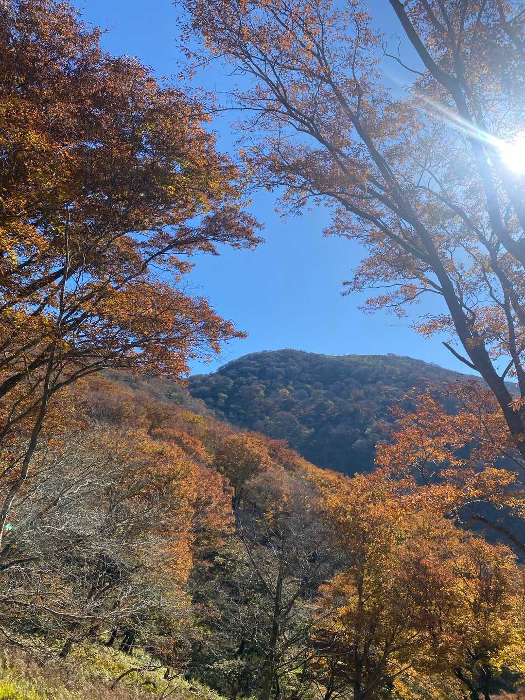 汗ふき峠-経塚山-霊仙山 往復コースの写真
