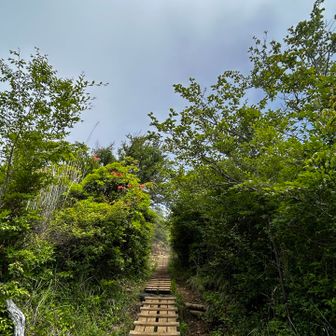 少し青空が…