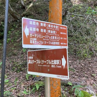 ここからガーデンミュージアム比叡・大比叡山頂経由で根本中堂を目指します