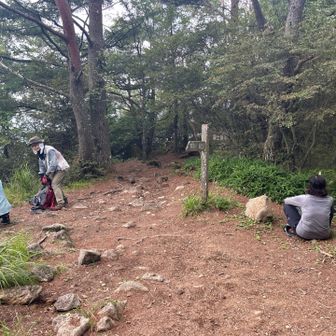 雲海
ここはルートが左右に分かれて観音平に至る。右側のルートを取ると緩やかなルートらしいが少し長い。
最初間違って右ルートに入ってしまい直ぐに左のルートに戻った。