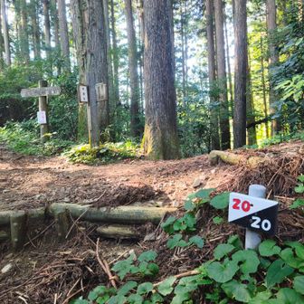 20/20信じて登ってきたのに到着で8合目かよ！
なんなら8合目もあやしい