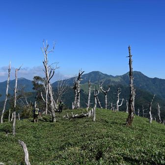 岩場を経てここまで登れば