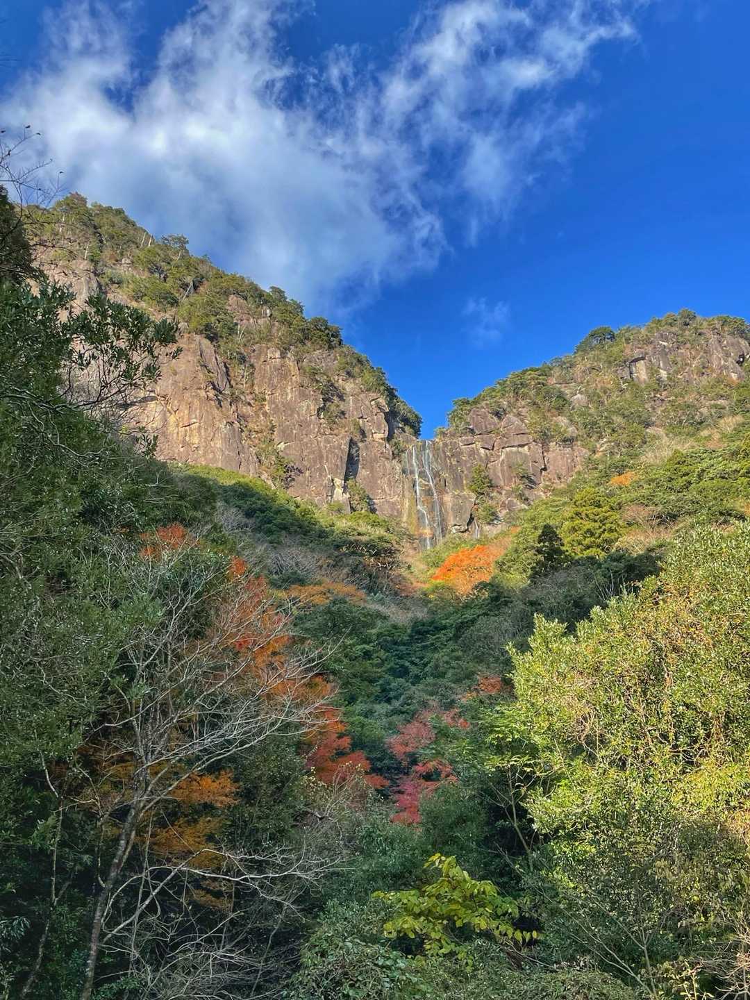 行縢山登山口-行縢山 往復コースの写真