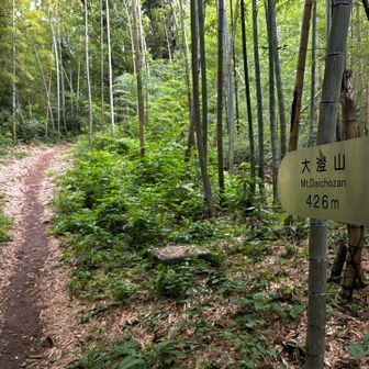 大澄山まで426mという細かい数字に驚く