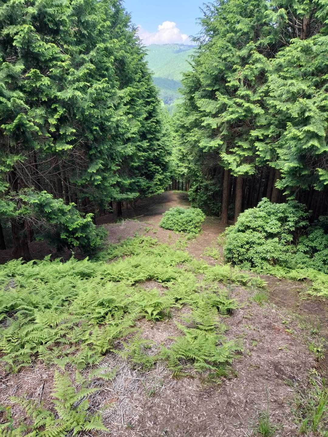 振り返って