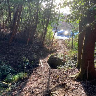 こけることなく無事下山