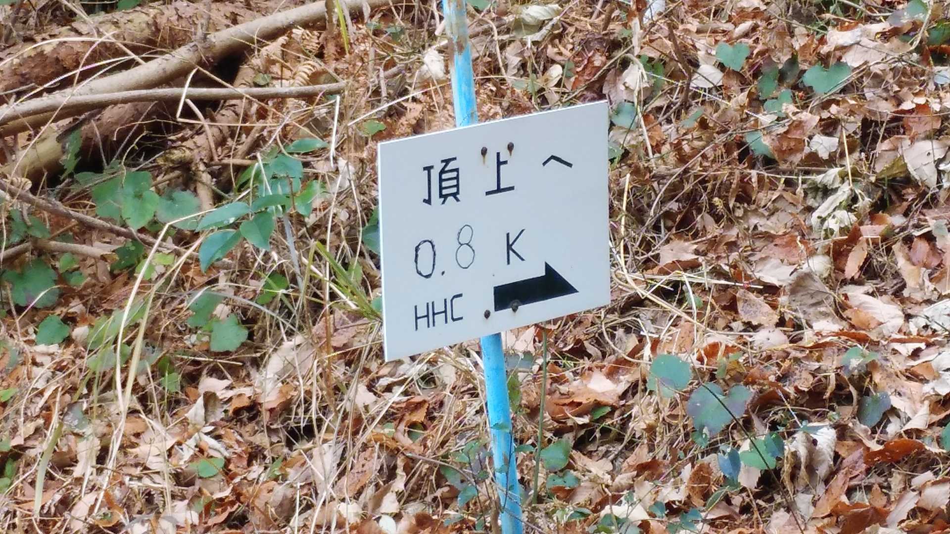 昇仙峰登山口-昇仙峰 往復コースの写真