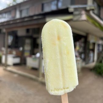 福ちゃん荘でレモンアイスキャンディ
食べ終わったあとは14時のバスに間に合いそうだったので急いで下山しました
次に来るならバスの本数の多い休日にしてのんびり歩きたいですね