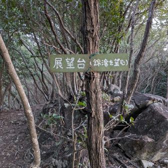 展望台（錦湾を望む）