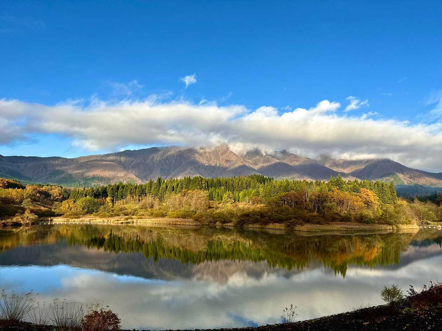 禿岳(小鏑山)から小柴山展望台 / ischanさんの禿岳（小鏑山）・小柴山・大柴山・花渕山の活動データ | YAMAP / ヤマップ