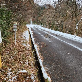 路上はほぼ雪なし。でも絶対ノーマルタイヤでは来てはいけない・・。