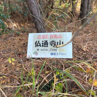 山頂到着
広島百名山です