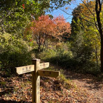 東山山頂公園の方に向かってます🍂🍂🍂