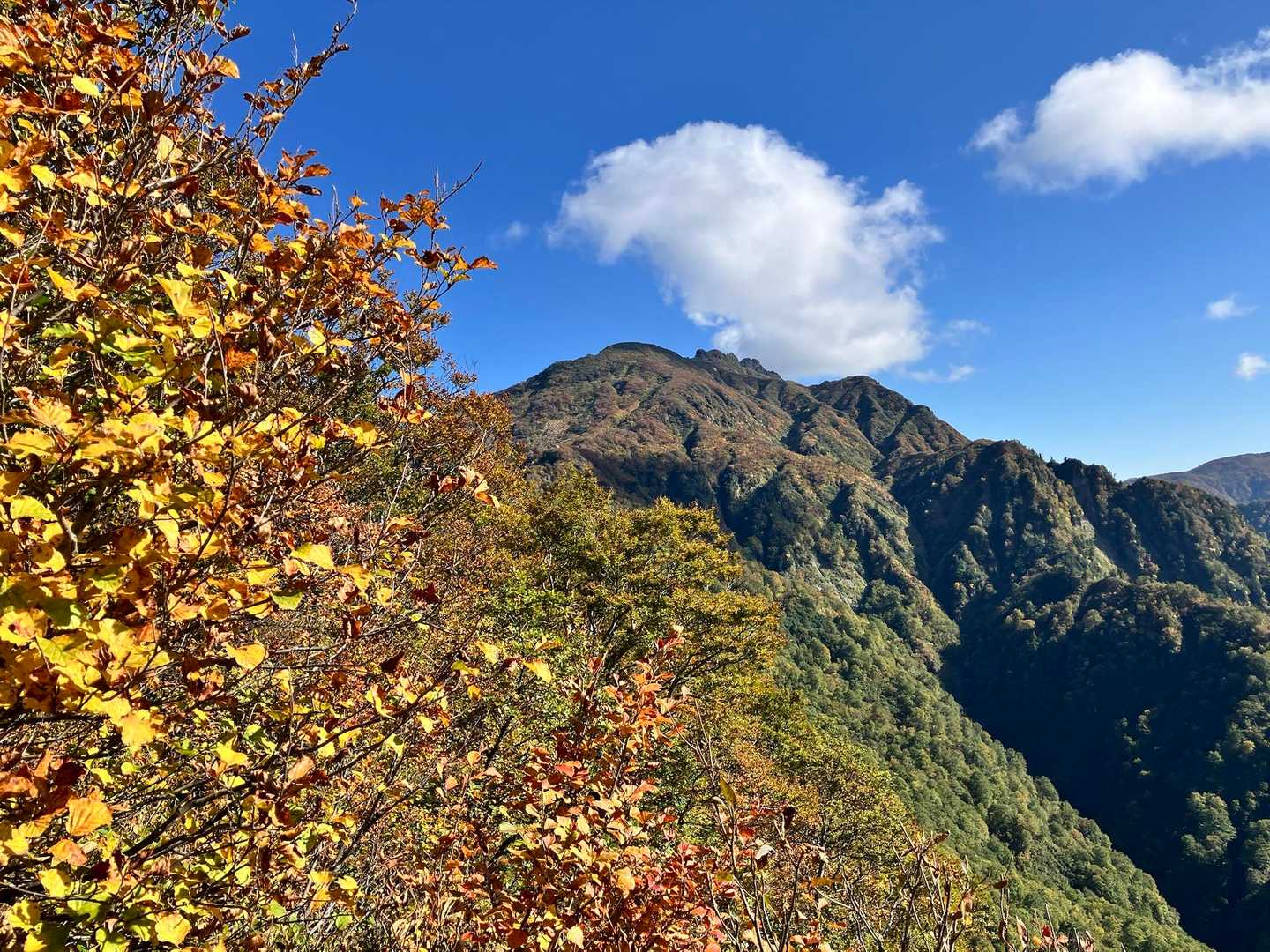八海山（薬師岳） | ロープウェイから始まる修験の鎖場、越後三山の岩峰への写真