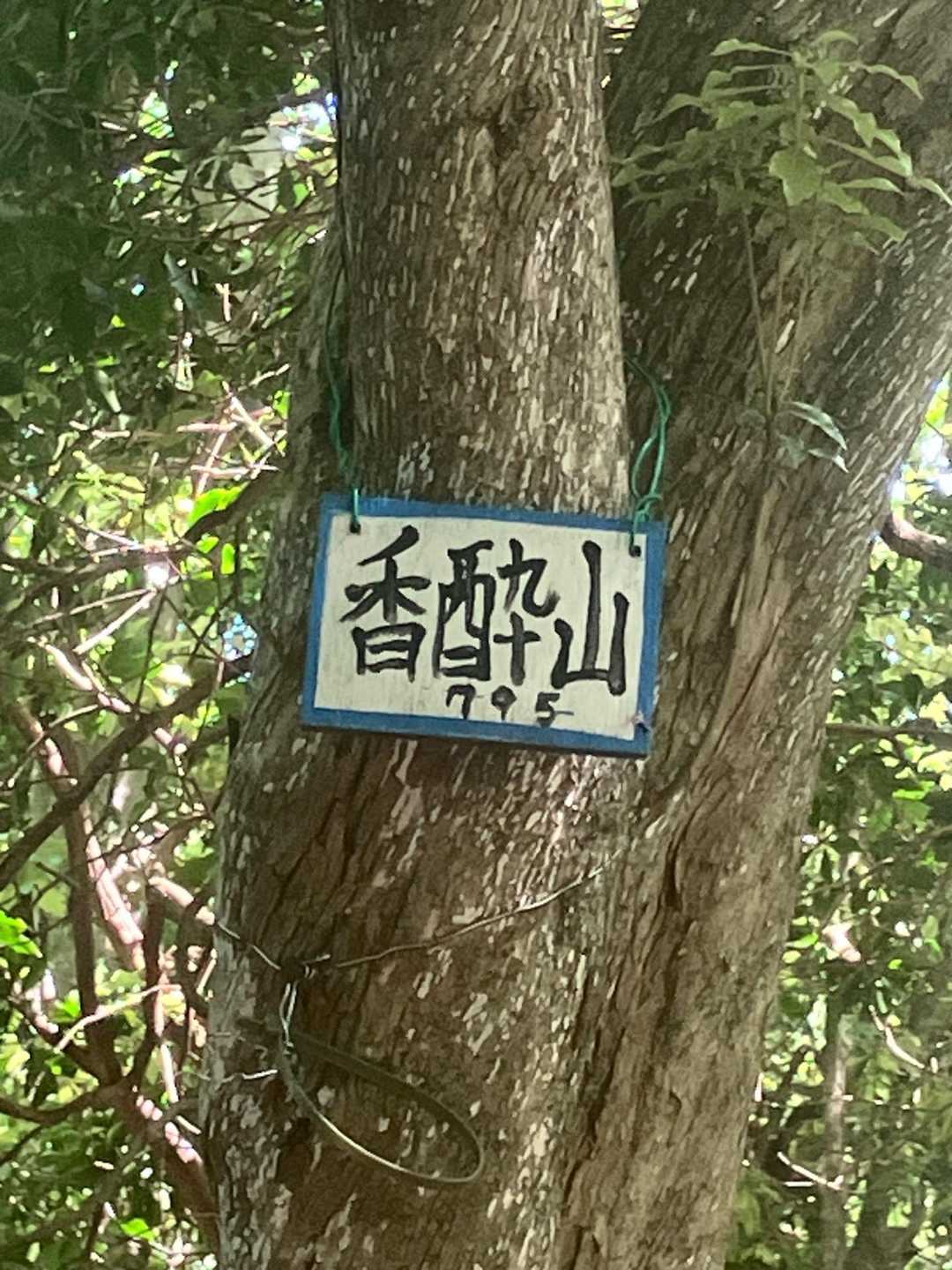 何とか🙄香酔山⛰️の山頂に到着しました💪