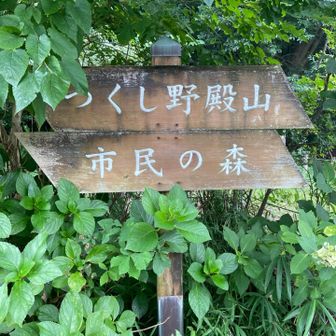 市民の森来た