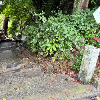 ここから登ってきた

車道に出て正面に