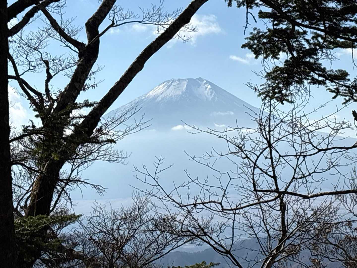 道坂隧道入口バス停-道坂峠-ガンギ沢ノ頭-岩下ノ丸-マエダ 縦走コースの写真