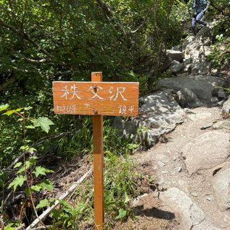 秩父沢
沢の水でタオルを濡らしてクールダウン